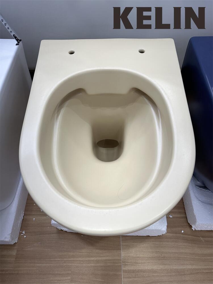 Inodoro suspendido de cerámica - Home And Bathroom reseña y precio