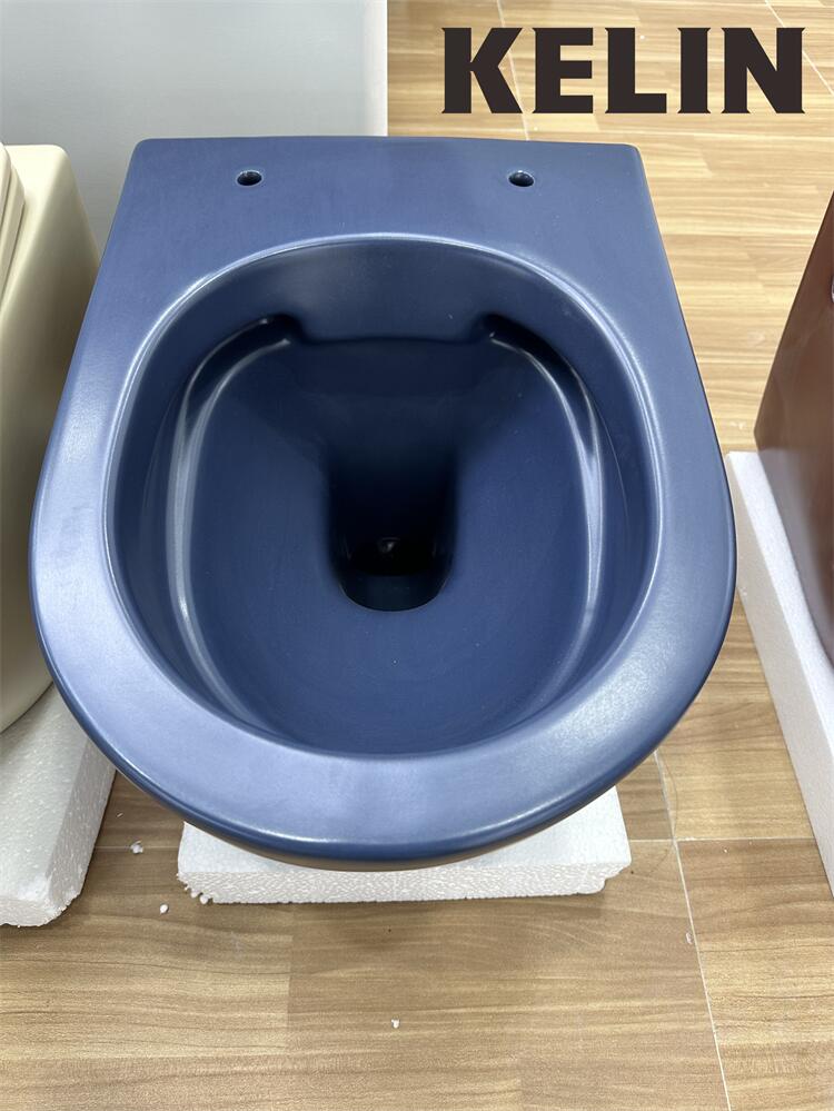 Inodoro suspendido de cerámica - Home And Bathroom reseña y precio