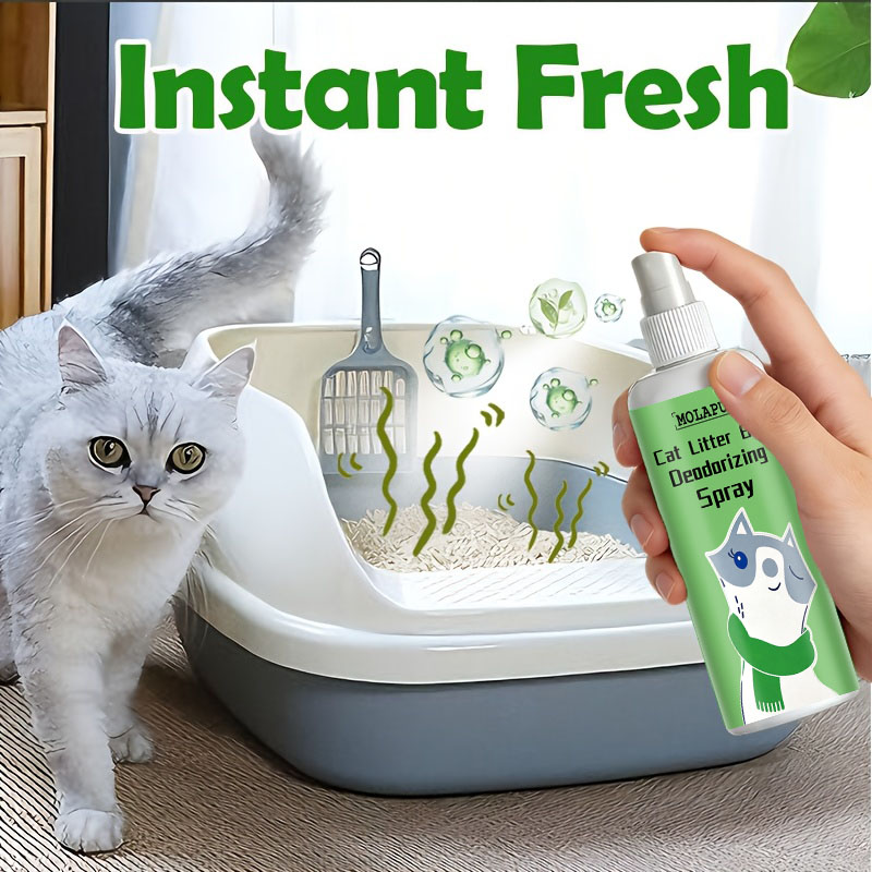 Spray Desodorante para Arena d - Home Bathroom With Urinal reseña y precio